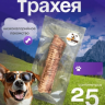 Трахея говяжья