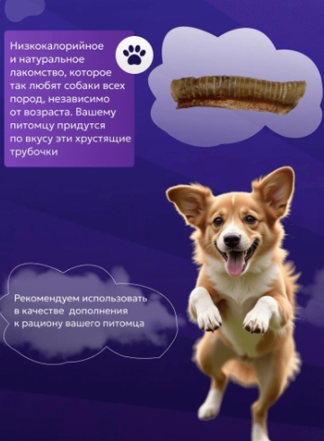 Трахея говяжья