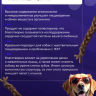 Бараний корень L