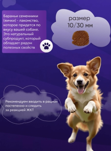 Семенники 50 гр